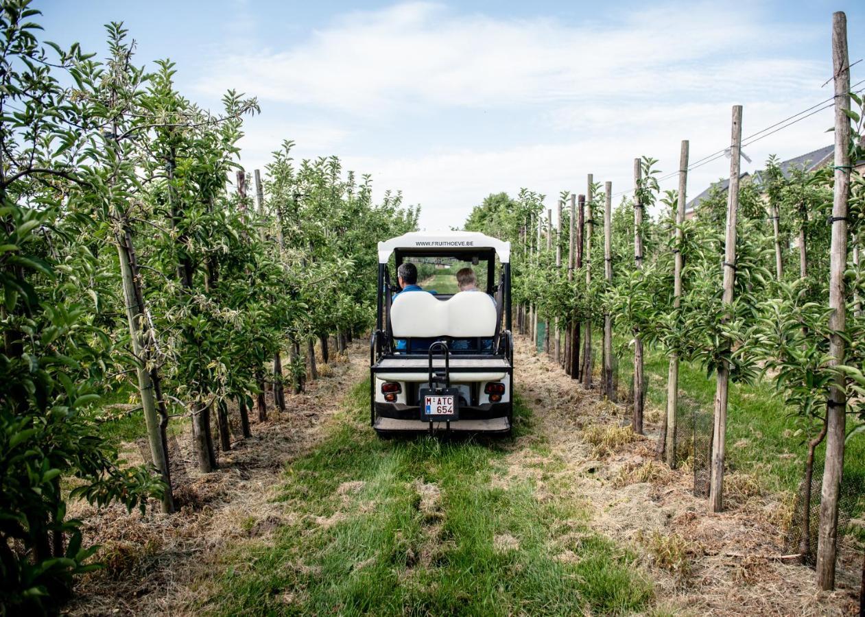 B&B De Fruithoeve Hoeselt エクステリア 写真